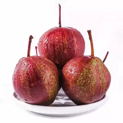 红皮梨