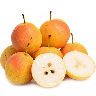 南果梨